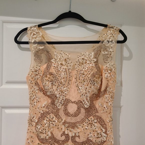 Stunning Peach Lace Gown with Train - Picture 3 of 12